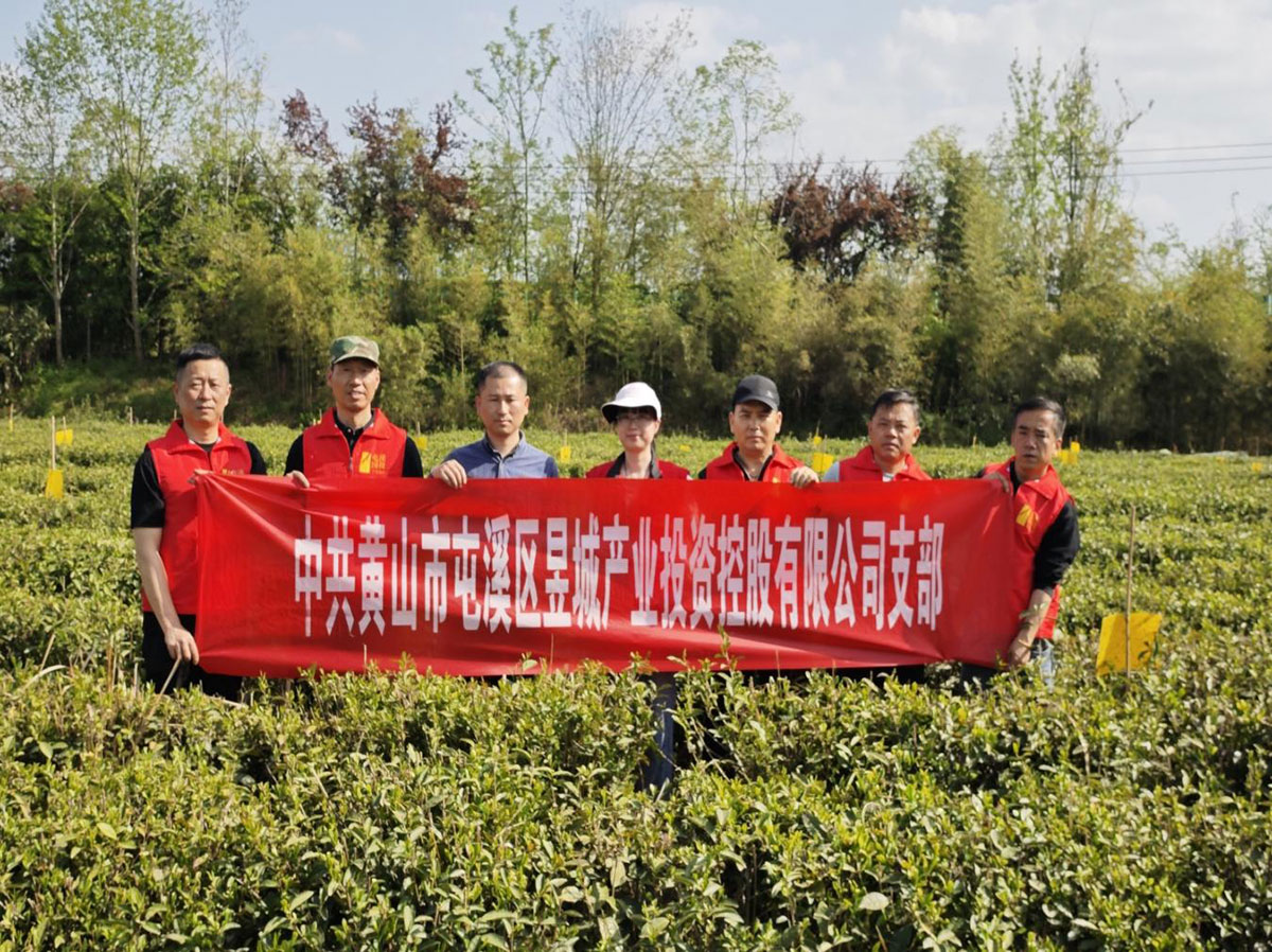 昱城產(chǎn)投公司黨支部開展“茶香潤(rùn)初心，黨旗映茶園”主題黨日活動(dòng)